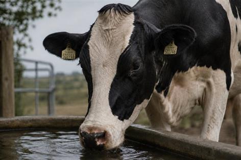 June heat drives 3.1% fall in GB milk deliveries