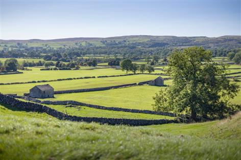 Farmers central to new plan to protect 30% of England for nature