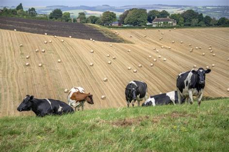 Record heat linked to unprecedented fall in UK milk deliveries