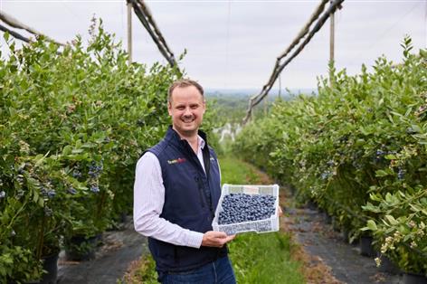 Drones and AI power surge in British blueberry sales