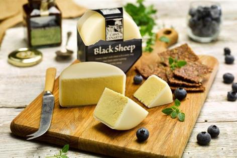 Wales launches push to build commercial sheep milk market