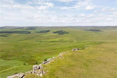 7,500-acre estate bought for major nature recovery scheme