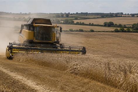 Farmers battle dry spell as crop yields come under pressure