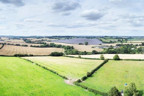 Farmland values slide 4.1% as buyers hold back