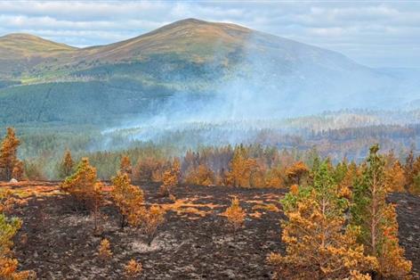 Rural sector rallies as Cairngorms wildfire battle continues