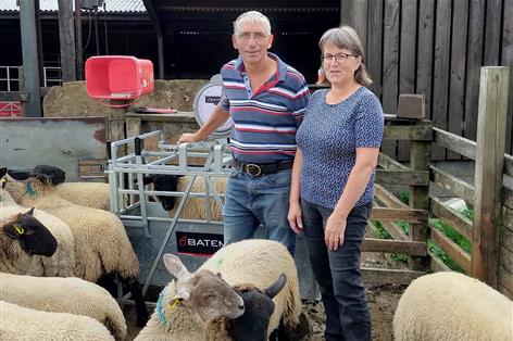 Industry overhauls sheep lameness plan after 15 years