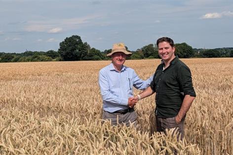 Oxford spinout buys wheat breeder in precision-breeding push
