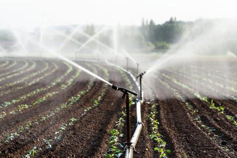 Retail bosses demand targets to boost British-grown food