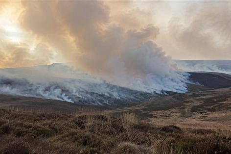 'Government is playing with fire' over moorland burning ban