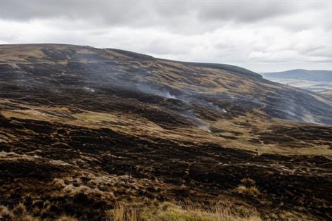 Wildfires scorch more than 1,100 hectares of rural Wales