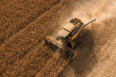 Britain's earliest harvest in 20 years hits cereal yields