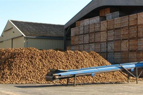 One in seven potato stores still showing sprout suppressant residues