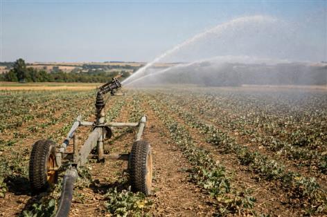 Driest July on record sparks warning over Britain's food supplies