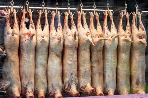 UK meat shipments face rejection under French border rules