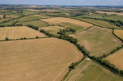 Heat and drought put UK on course for worst harvest since 1984