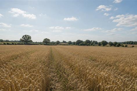 One spark could wipe out UK harvests, NFU warns