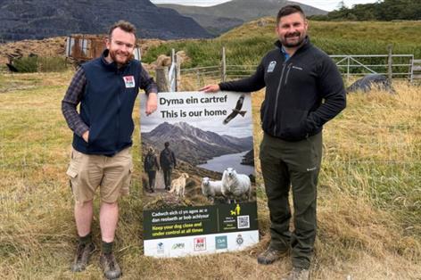 Summer campaign targets livestock attacks in Snowdonia