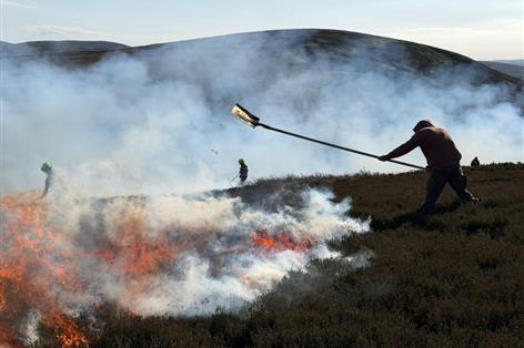 Rural businesses get £3m boost after Cairngorms blaze