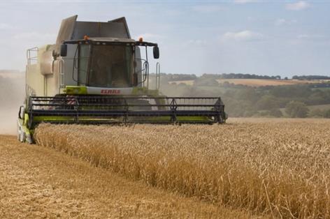 Spring barley yields head for record low as harvest struggles