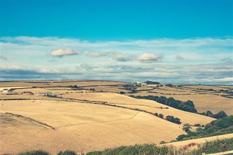 Government unveils £65m package for drought-hit farmers