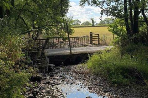 'Every hour now counts' as Welsh farms face water shortages