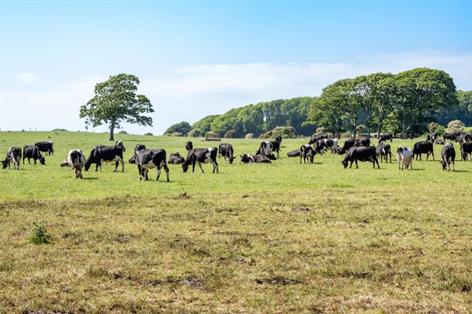 Lactalis strikes deal for Cathedral City owner Saputo UK