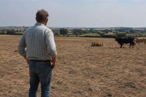 Farmers warned of legal risks from drought and heatwaves