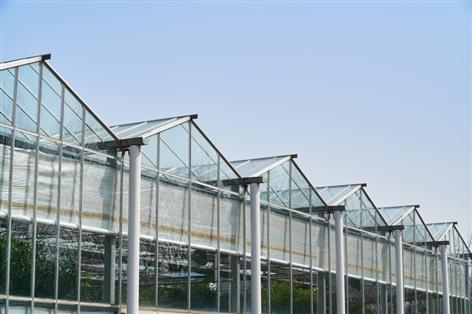 Calls for UK horticulture boost as climate risks threaten imports