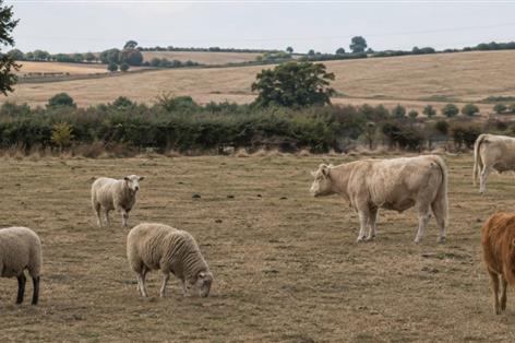 Leading landlords hold crisis talks over drought and bluetongue