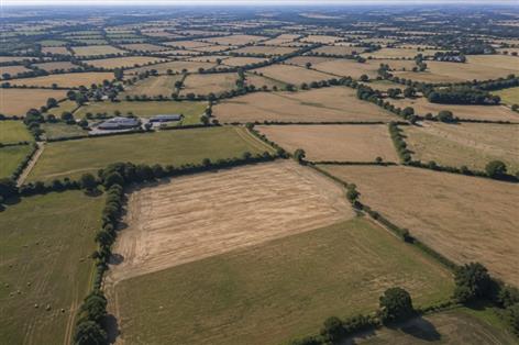 Weekly drought meetings begin as farmers face mounting strain