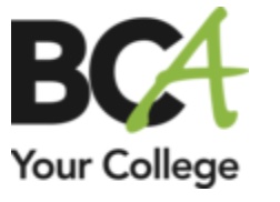 Level 1 City and Guilds Diploma in Motor Vehicle Studies